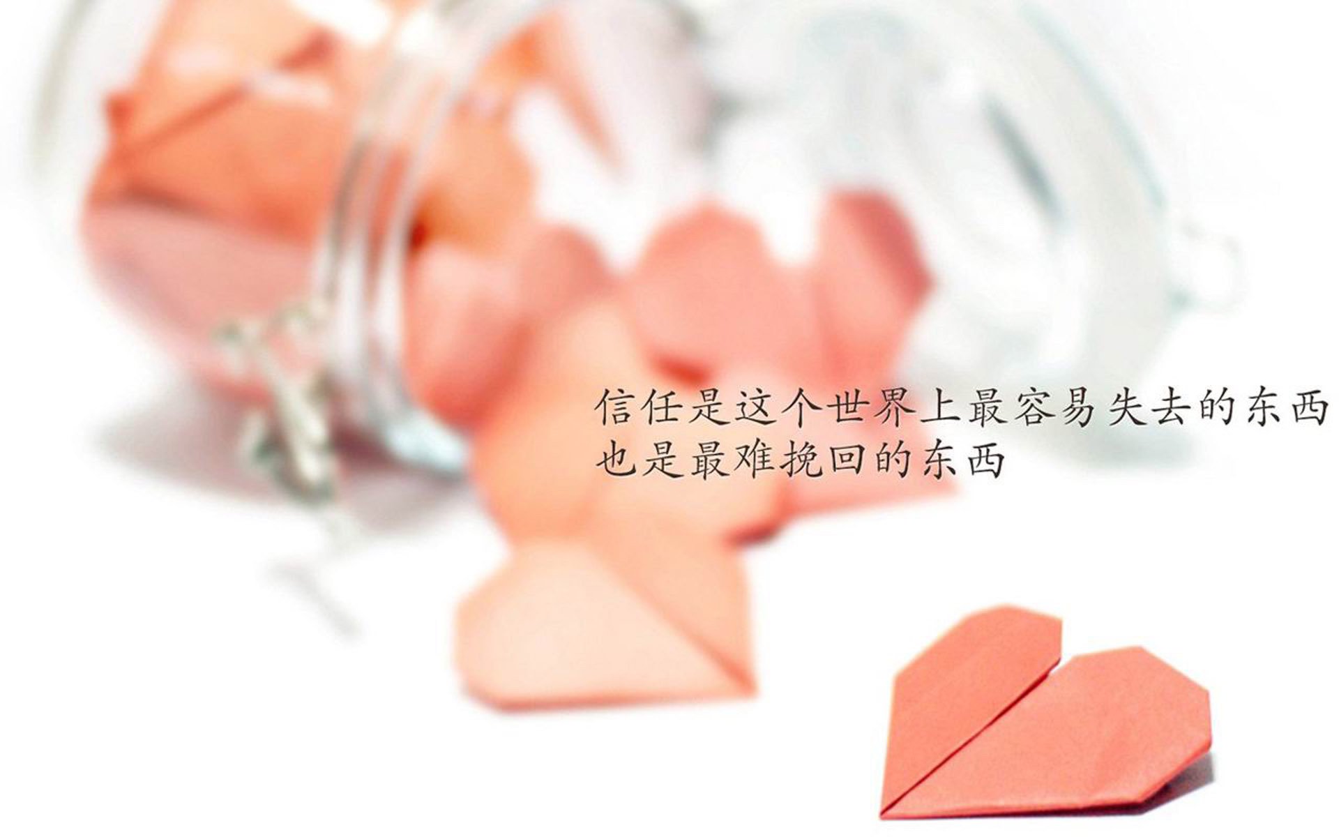 _运动装备科技升级引领行业新趋势_，专业运动装备品牌