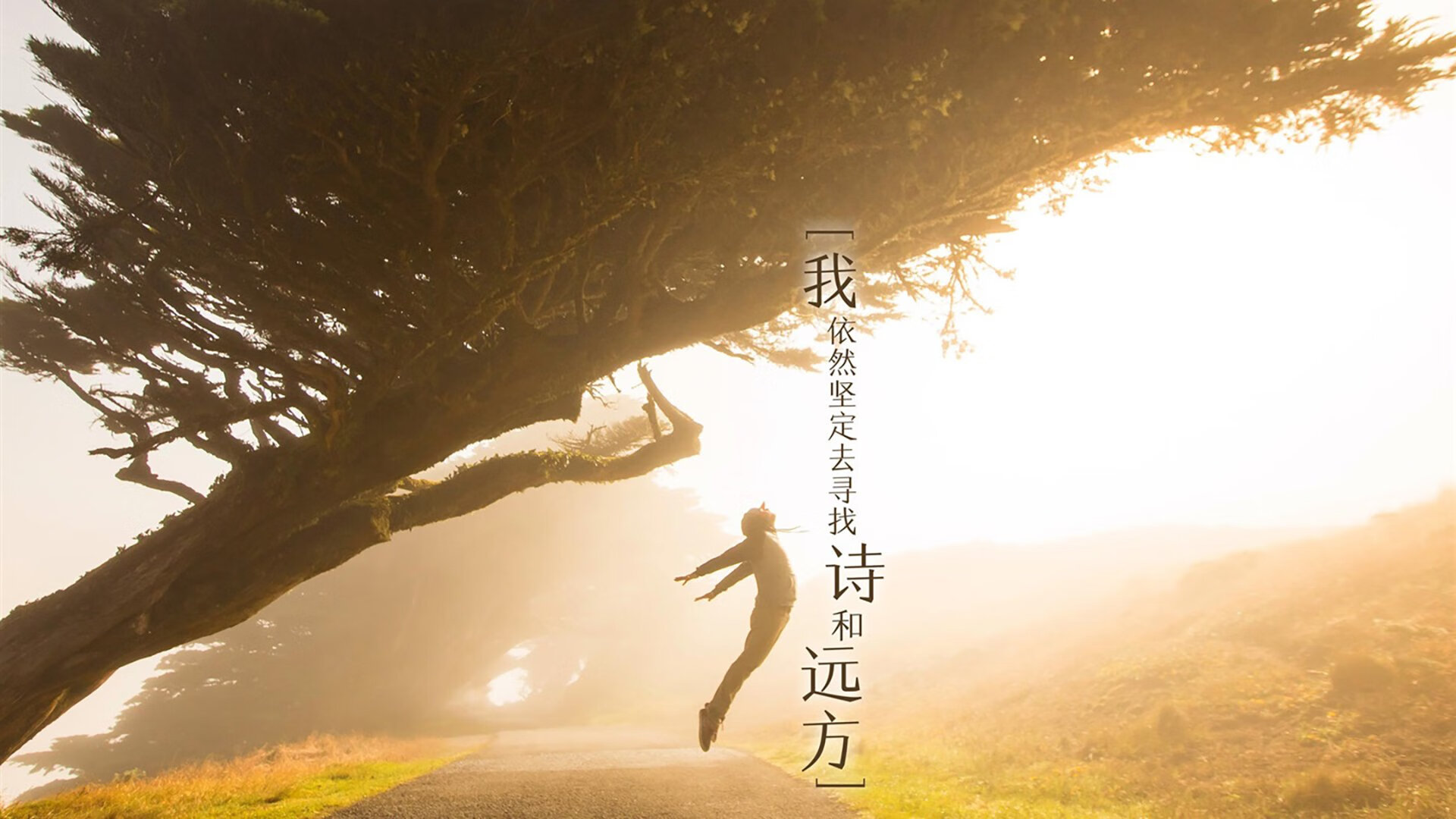 鹈鹕新秀“空接王”暴扣视频登上TikTok热榜,鹈鹕队控卫