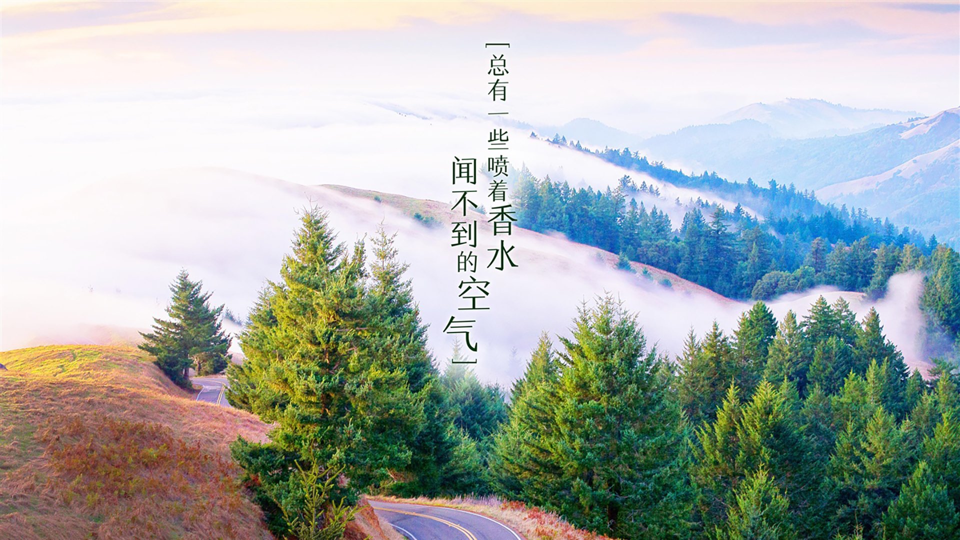 开云体育下载网页版-高校体育人才培养质量保障机制研究，学校体育人才培养方案