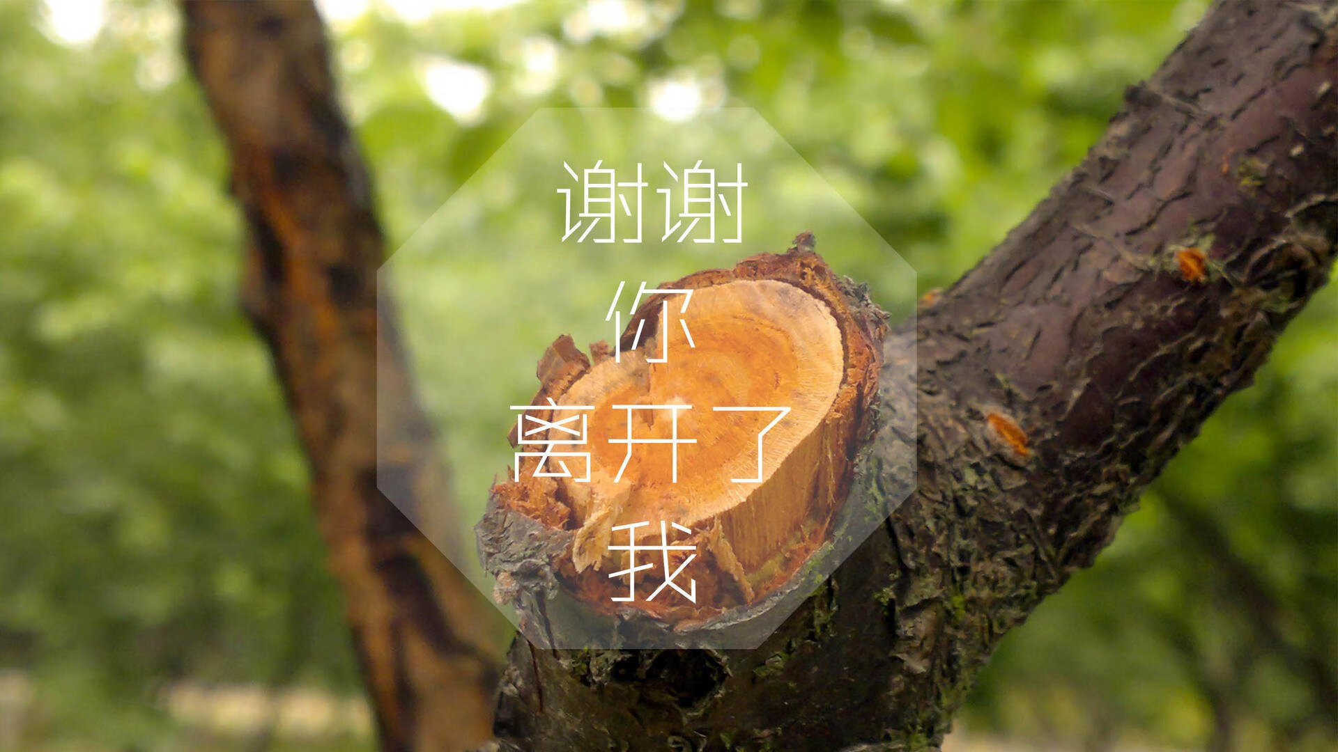 VR训练系统提升乒乓球运动员训练效果,vr乒乓球联机